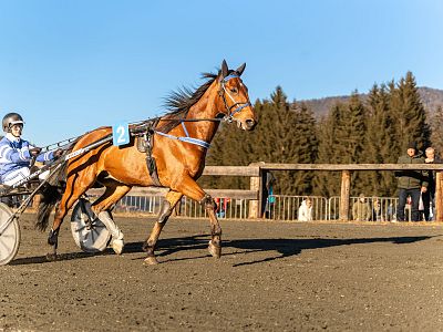Stefanirennen 2025 St. Johann