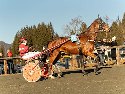 Stefanirennen 2025 St. Johann