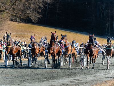 Stefanirennen 2025 St. Johann