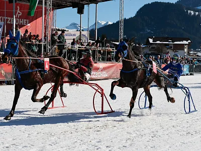 traber-07-2025-weiss-2