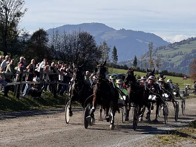 Trabrennen Kirchberg_Klausner2