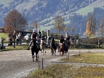 Trabrennen Kirchberg_Klausner4