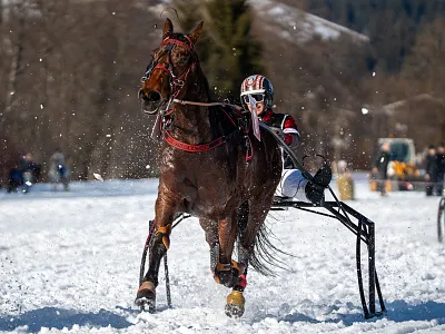 Trabrennen Kitzbühel-Reith