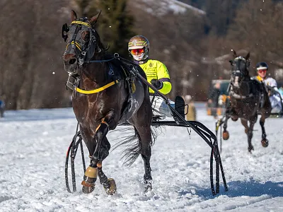 Trabrennen Kitzbühel-Reith