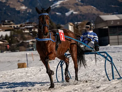 Trabrennen Kitzbühel-Reith
