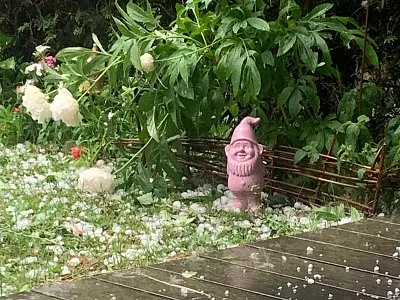 whatsapp-image-2025-06-26-at-16