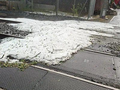 whatsapp-image-2025-06-26-at-17