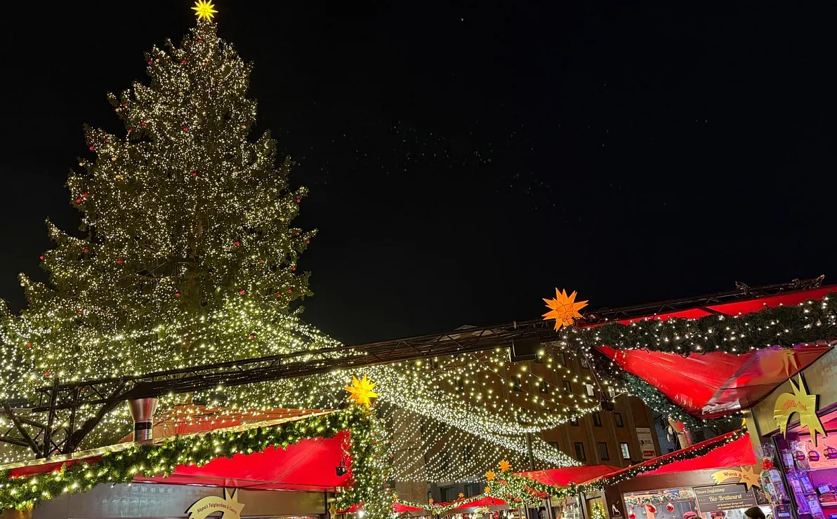 whatsapp-image-2025-11-21-at-18