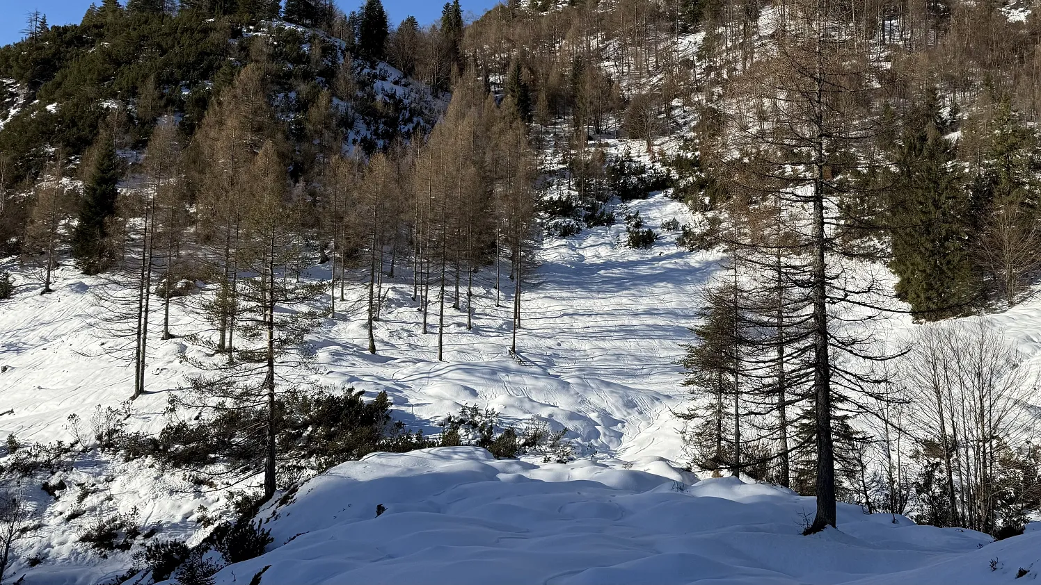 20260226_OLEX26_TÜPL