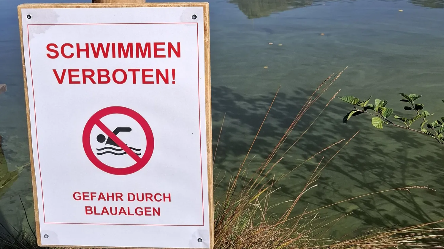 a_Blaualge_Herbst-2025__10_2026-fusser