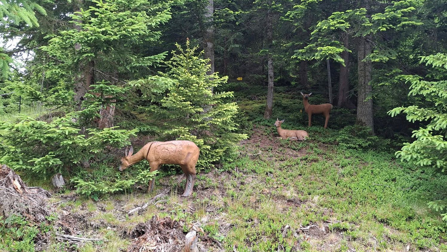 a_bogenschießen1_28_2025_privat