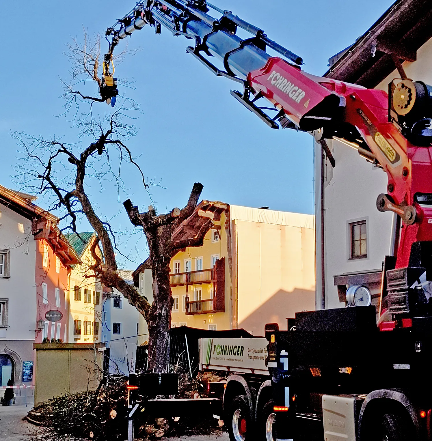 a_Kastanie.NEU-11_2025_fusser