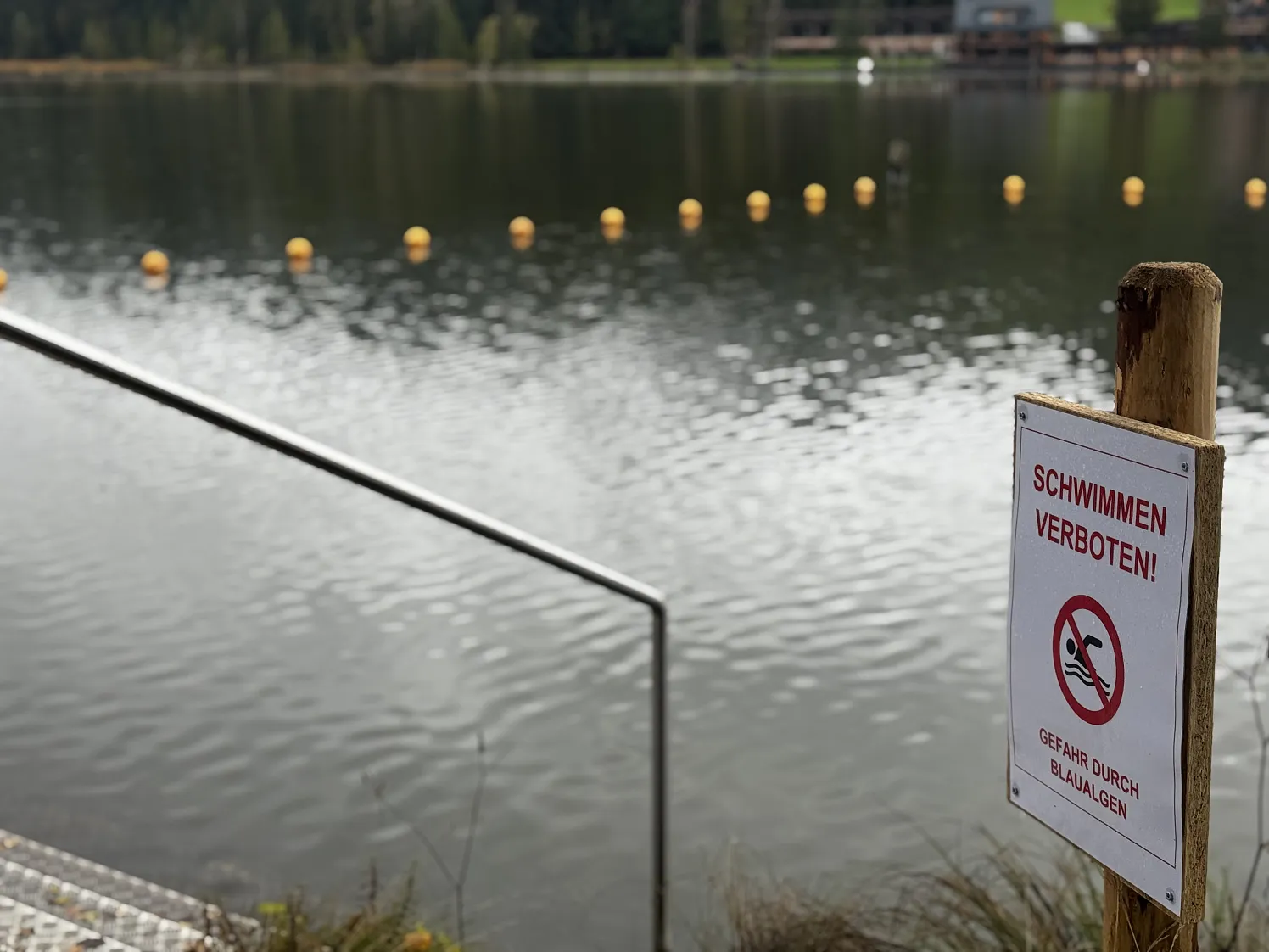 a_Schwarzsee2_41_2025_Klausner