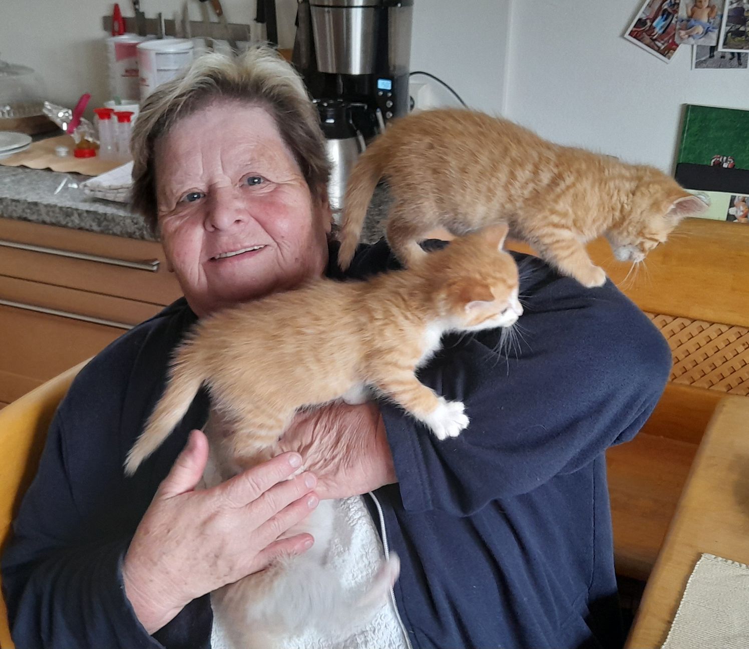 a_Terischutz1_31-2025-rauchenecker