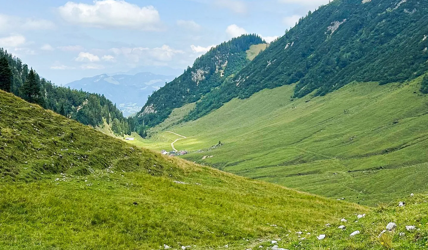 Almpflegetag Symbolbild Natur Kaisertal