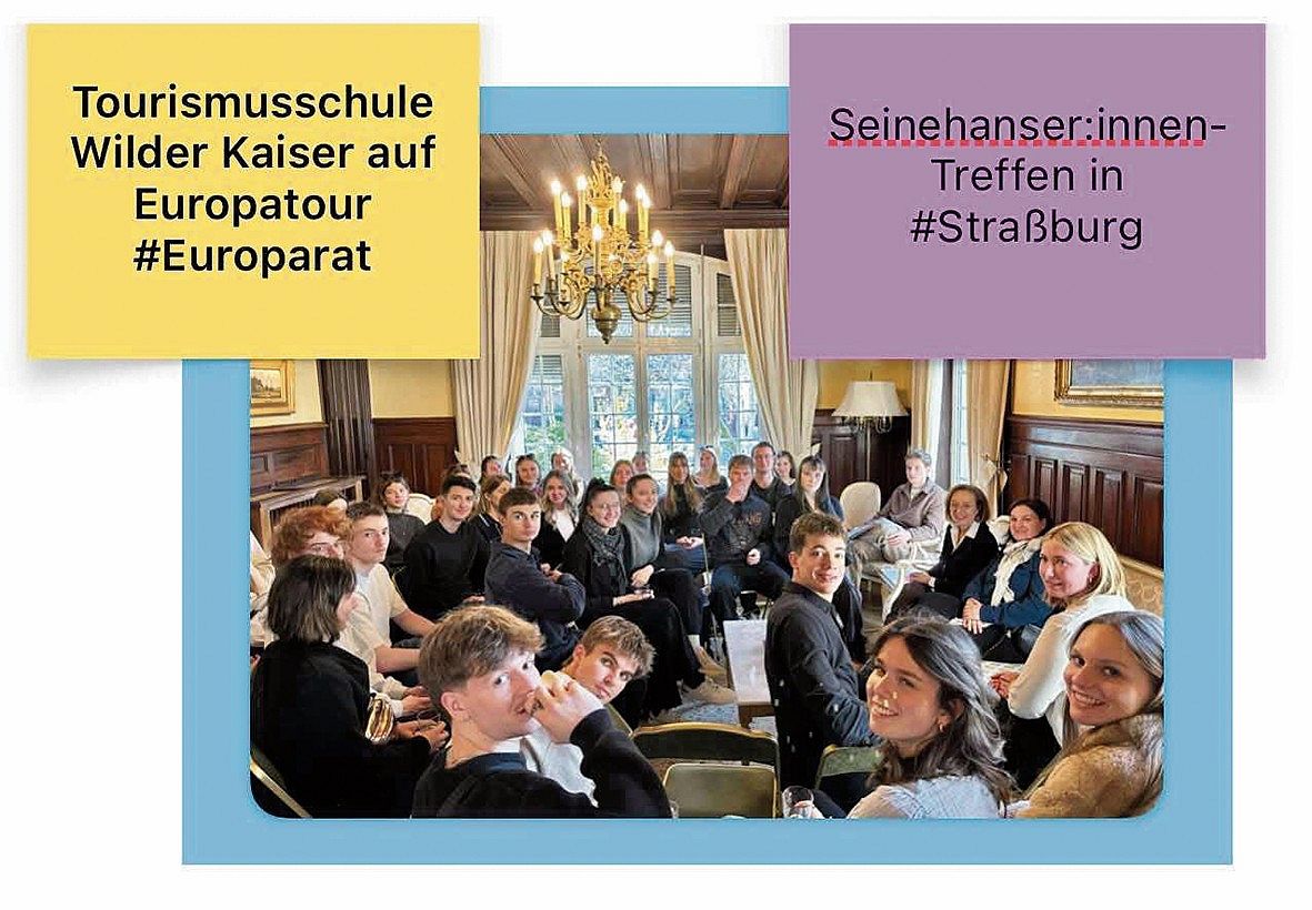 Boxer_1758253414613637