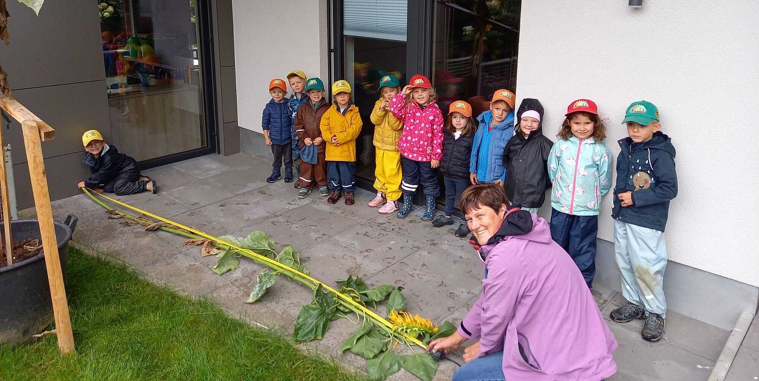 brixenwaldwichtel_44_2025_Gruenes Tirol.webp