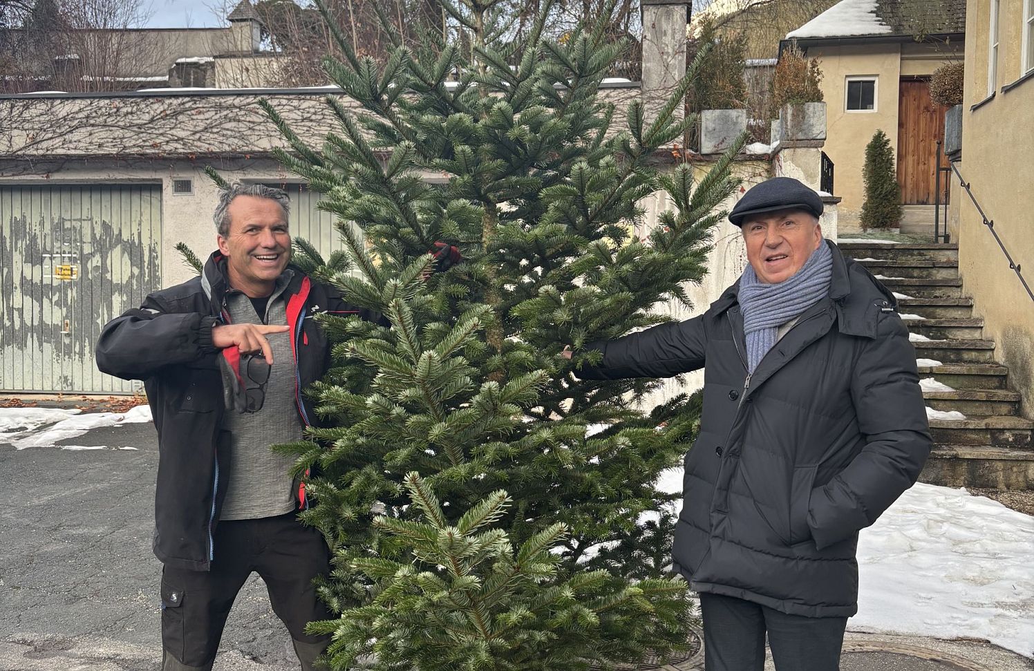 Christbaum für Stadtpfarrkirche Kitzbühel