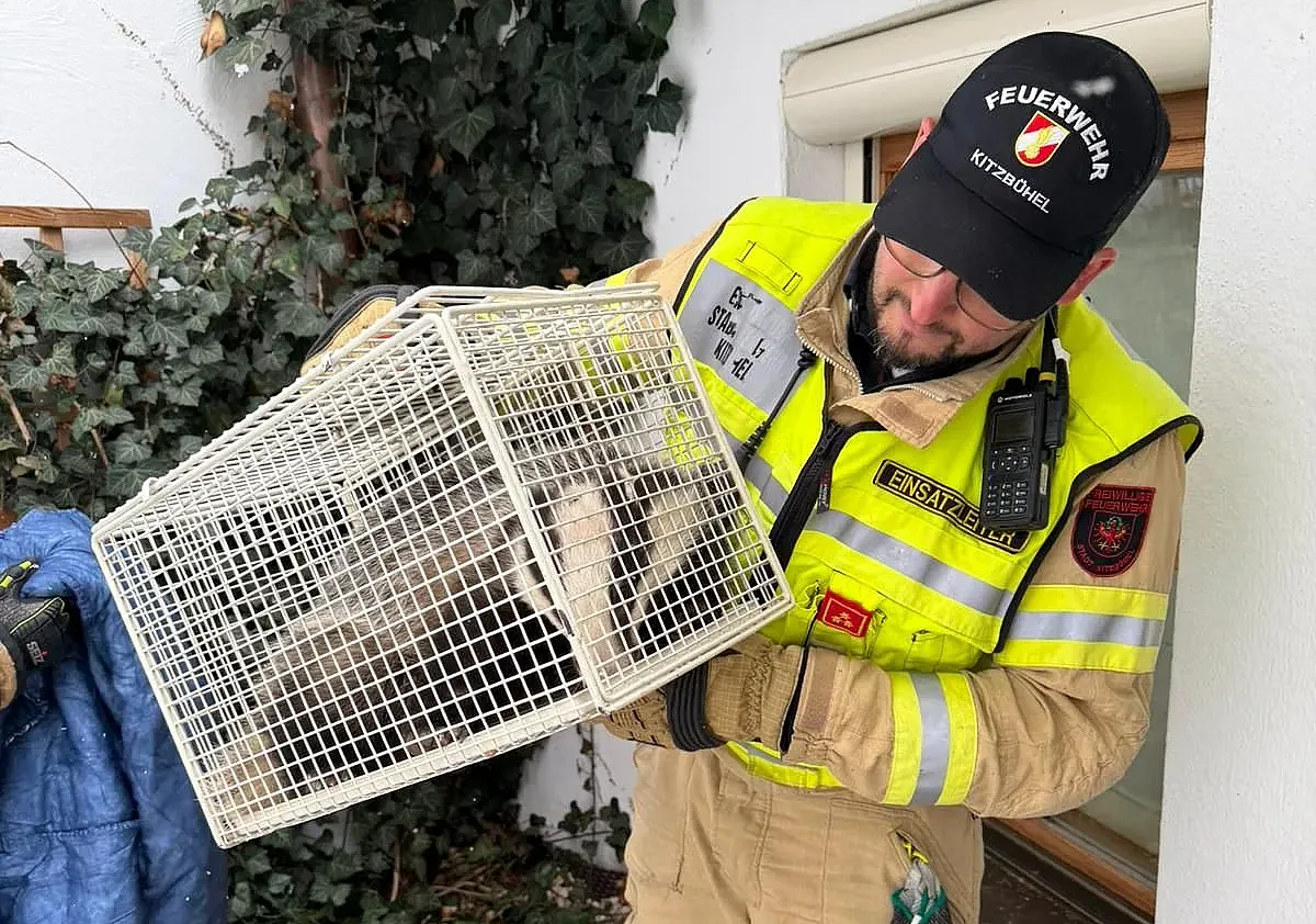 Dachsrettung_03_31_FFKitzbühel