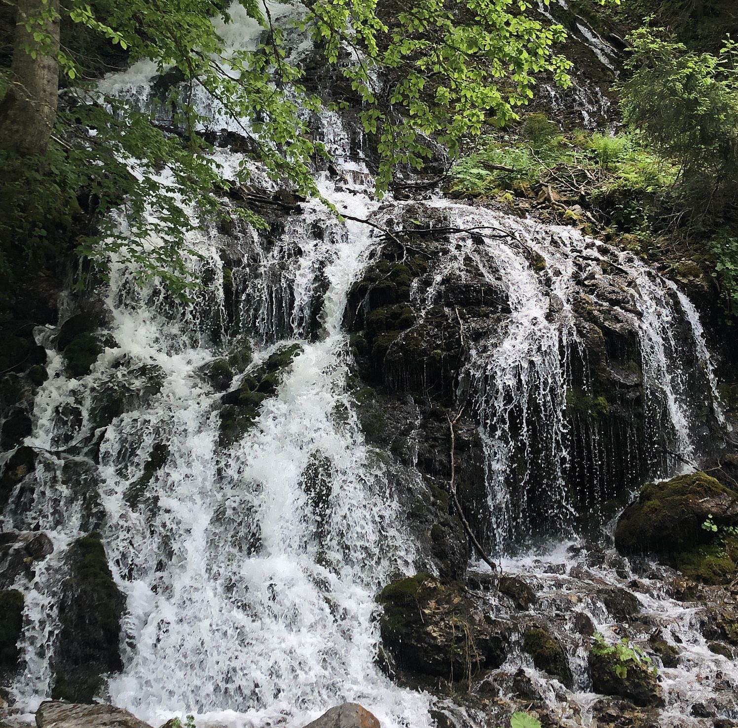 Fieberbrunn_schreiende brunnen_36_2025_Neumayer
