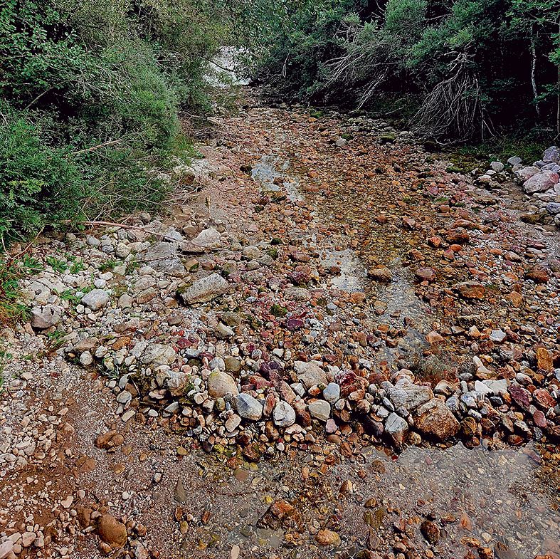 Fischereiverband_44_2025_Fischerei