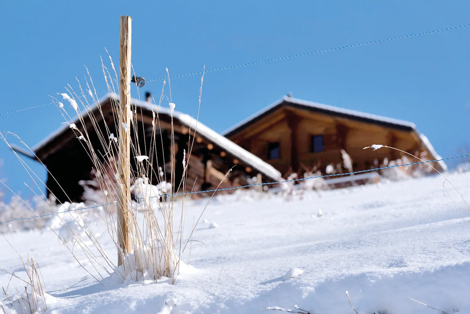 freizeitwohnsitz-3sp-wirt