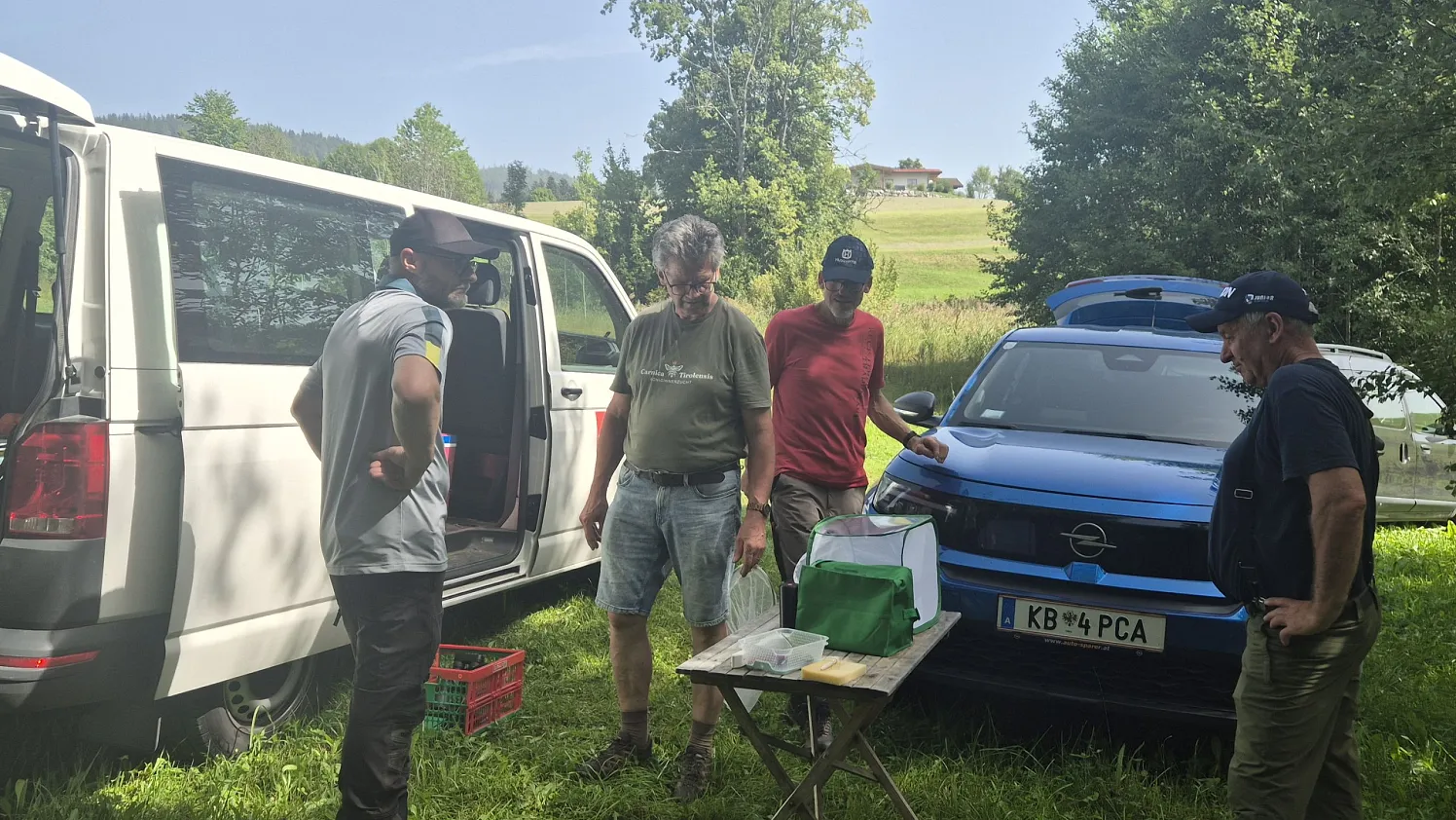 Hornissennest Kössen gefunden