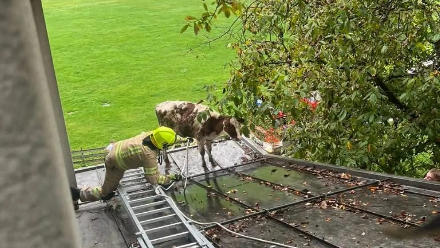 Kalbrettung Hopfgarten_ FFHopfgarten