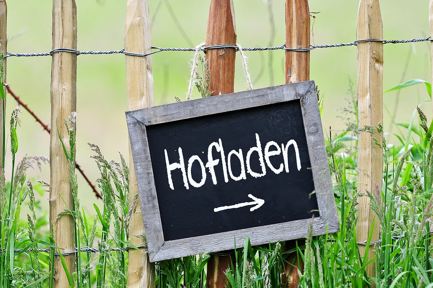 Landwirtschaft_Hofladen_36_2025_stock.adobe