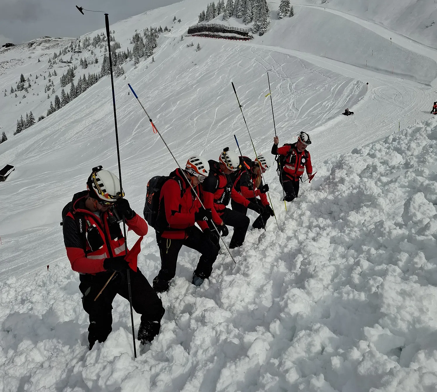 LawineSteinbergkogel_14_2025_Obermoser