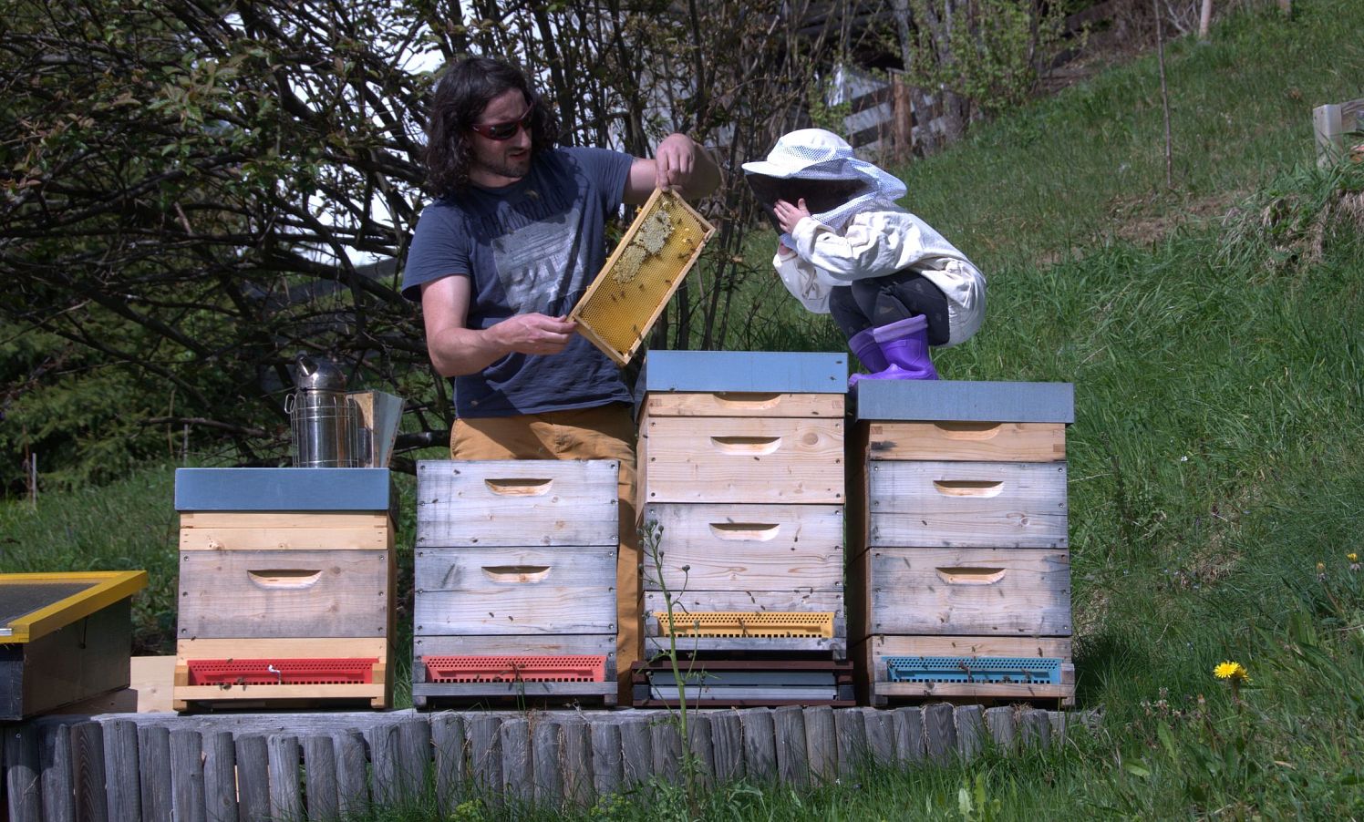 Honig - das Lebenselexir