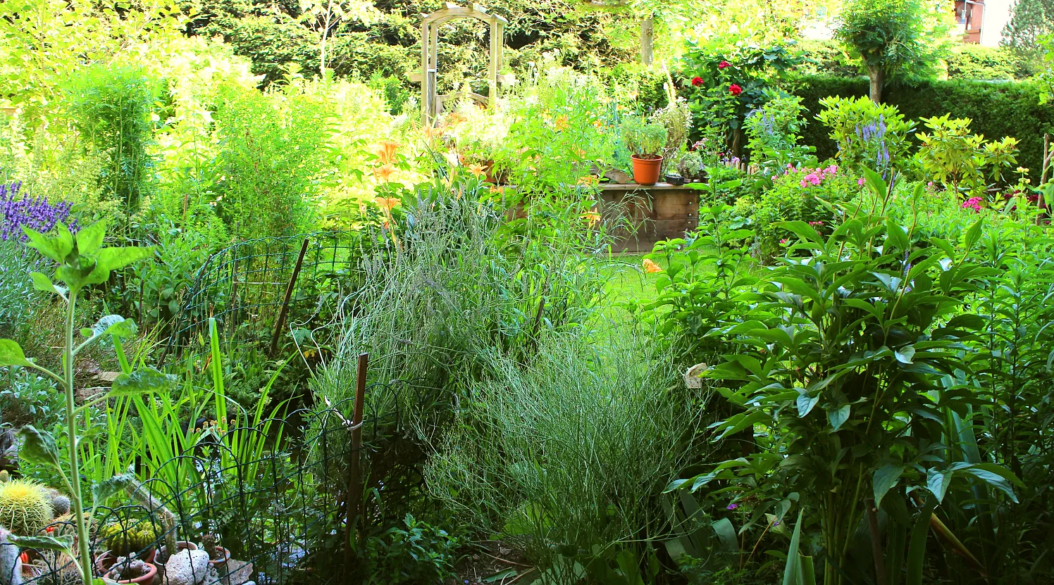 NaturimGarten6_13_2025_Maria Schmidt.