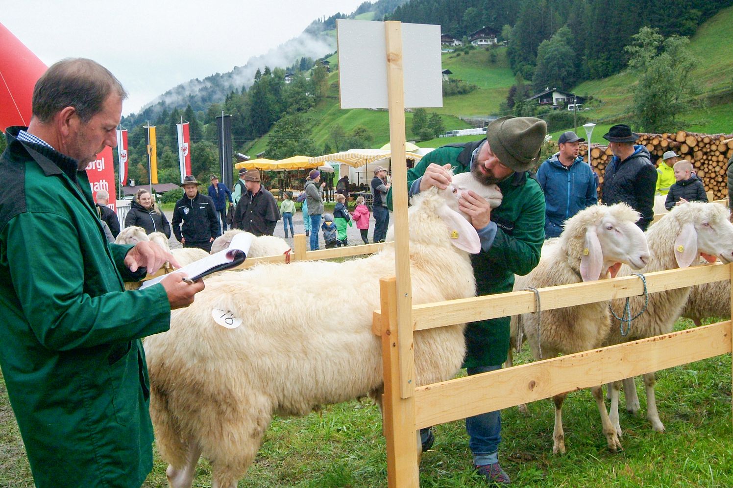 Schafifest Kelchsau1_38_2025_Brigitte Eberharter