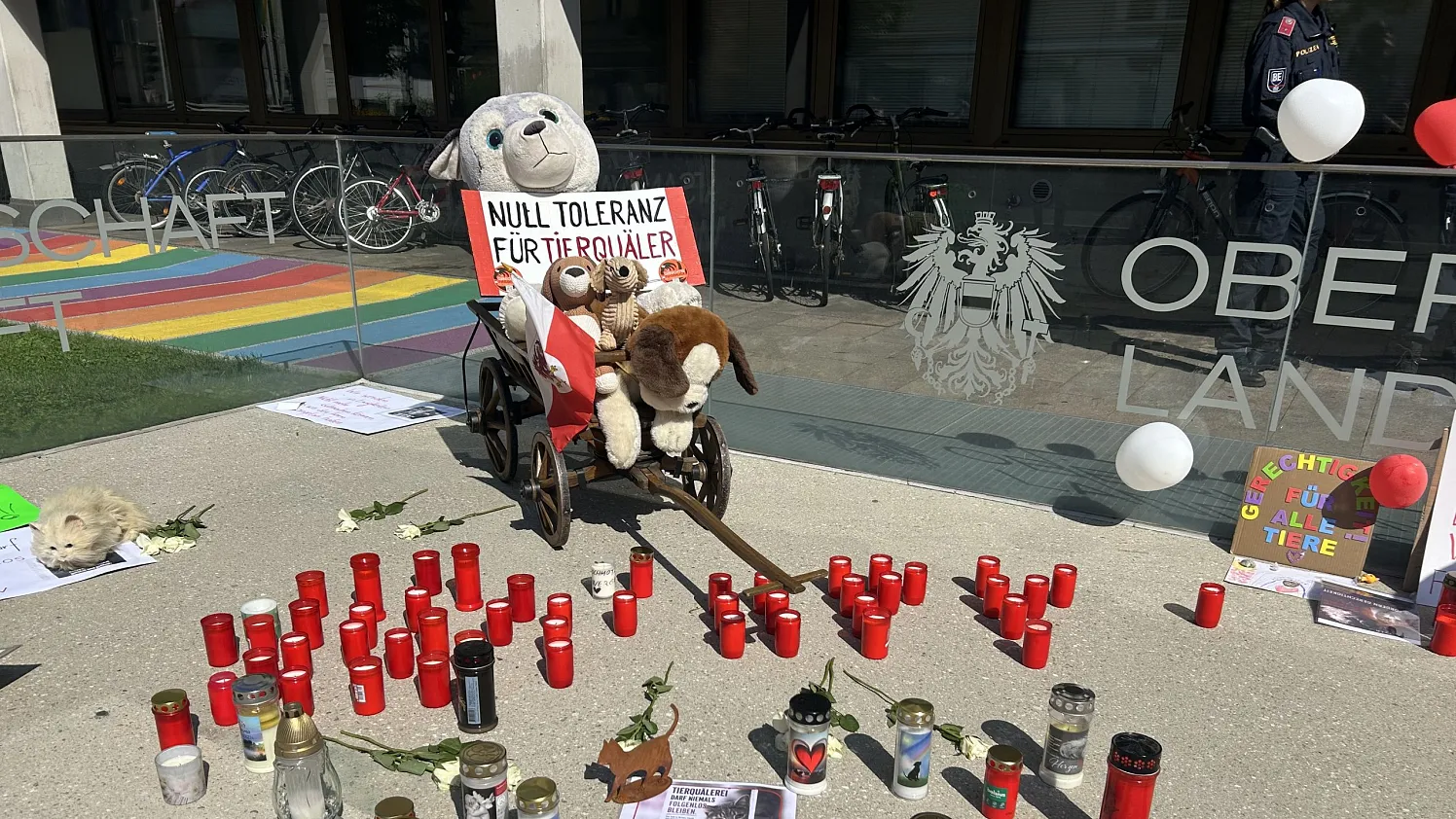 Schmotzer Mahnwache Innsbruck