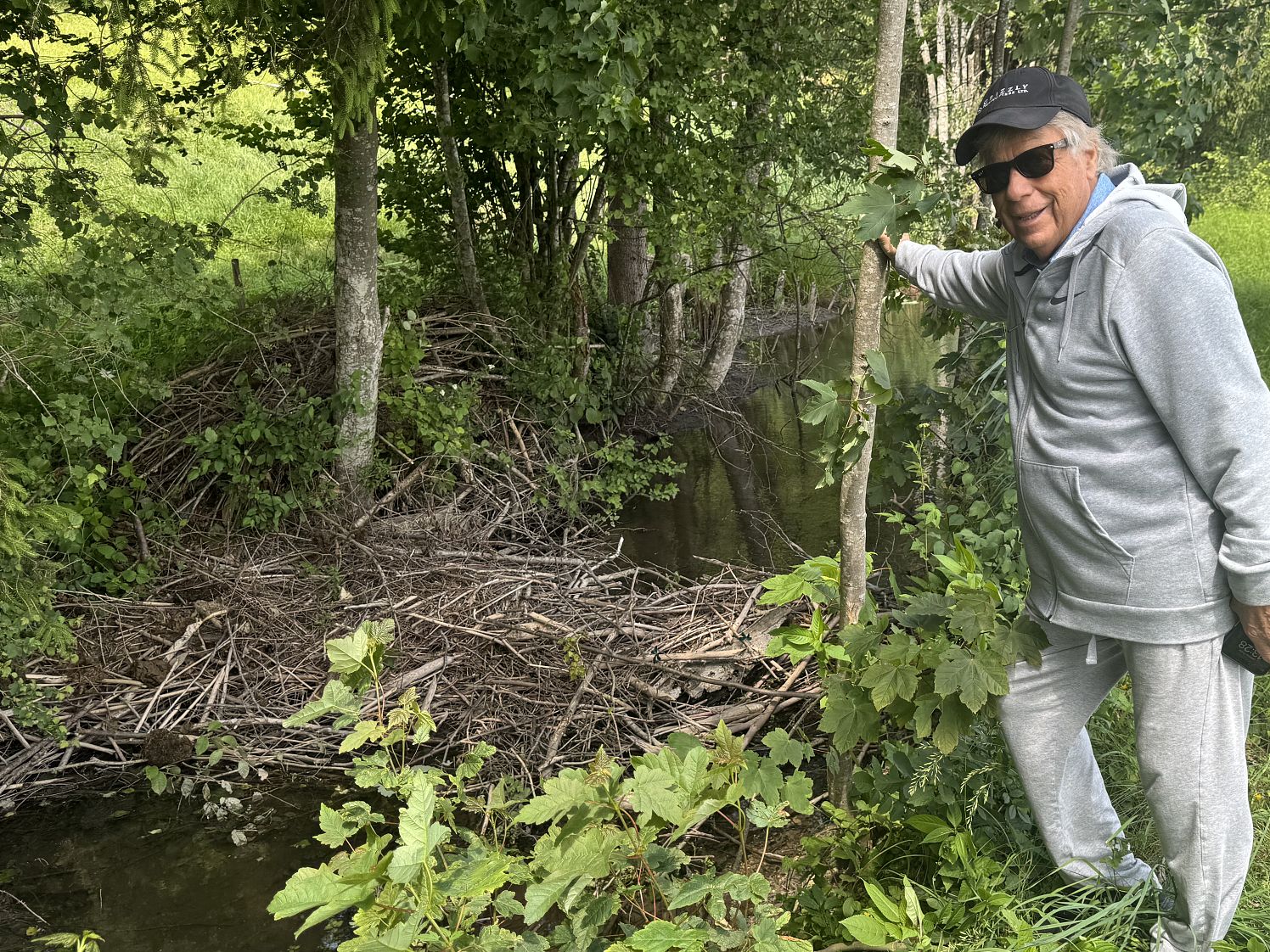 a_Biber_28_2025_adobestock.com