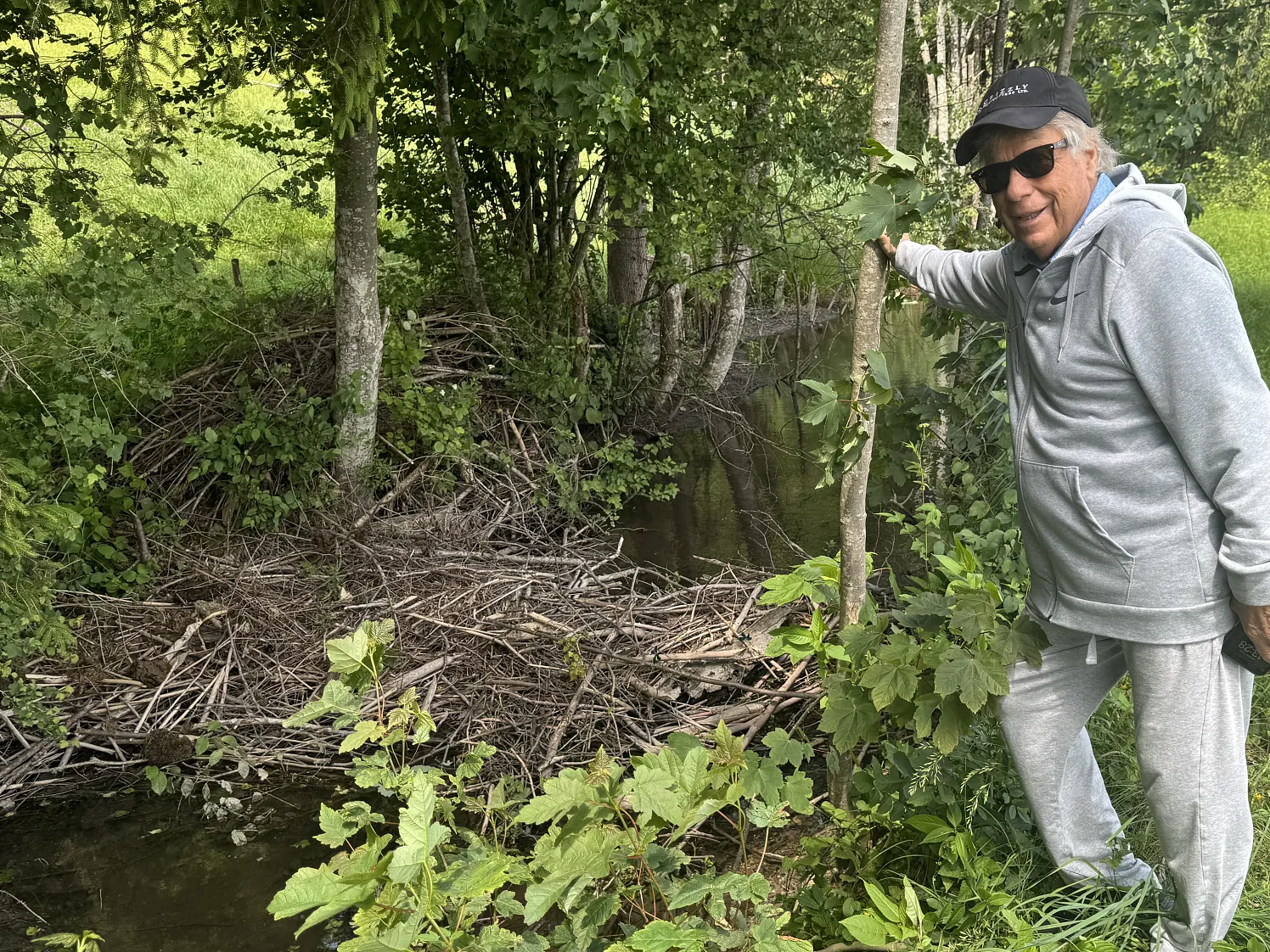 a_Biber_28_2025_adobestock.com