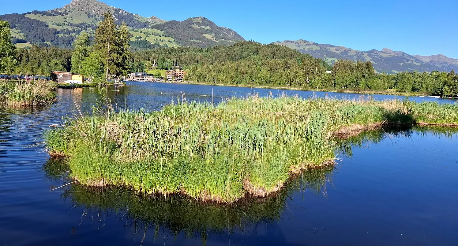 Schwarzsee Ansicht