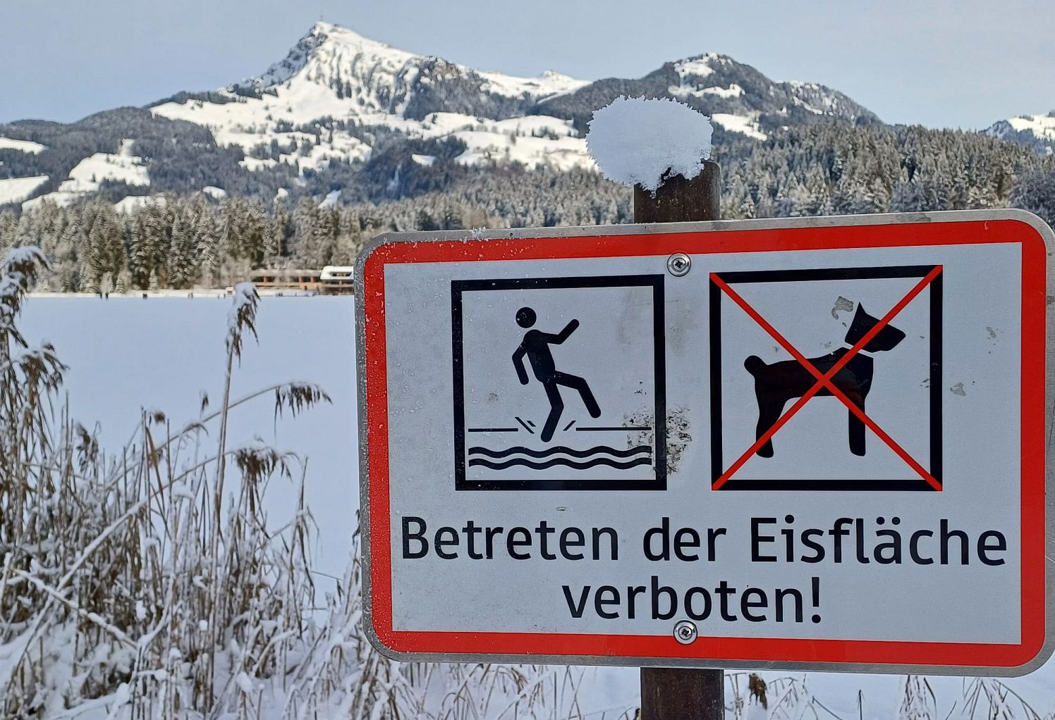 Schwarzsee_Eis2_2_2025_fusser