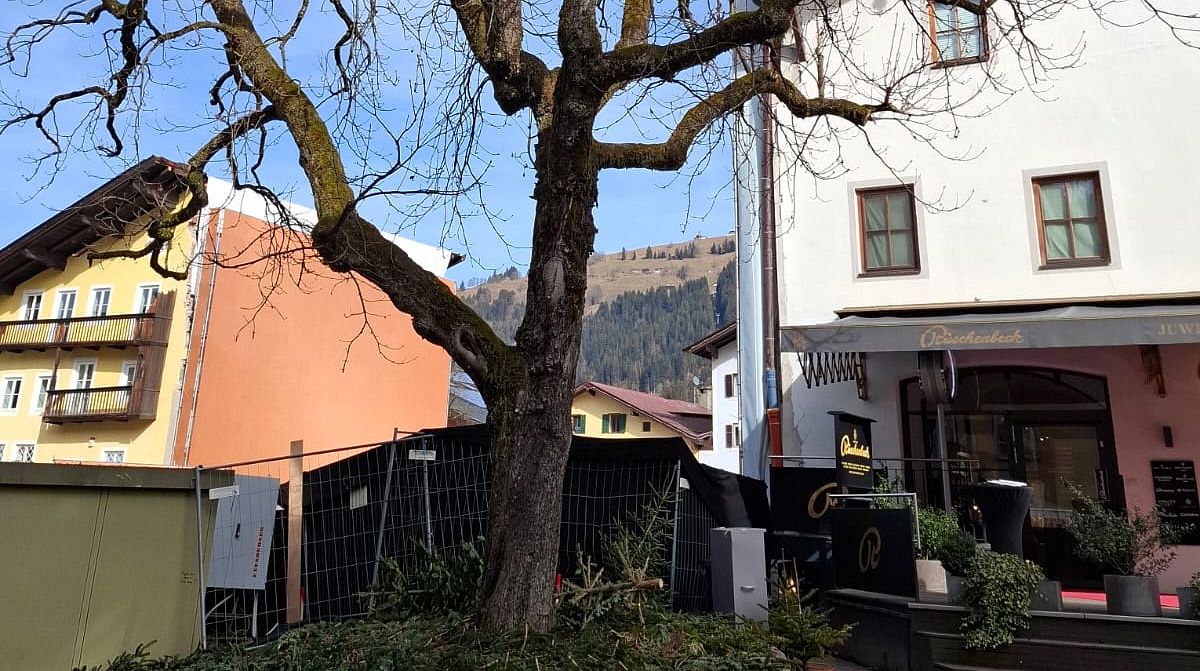 Tenne1_09_2025_Fusser