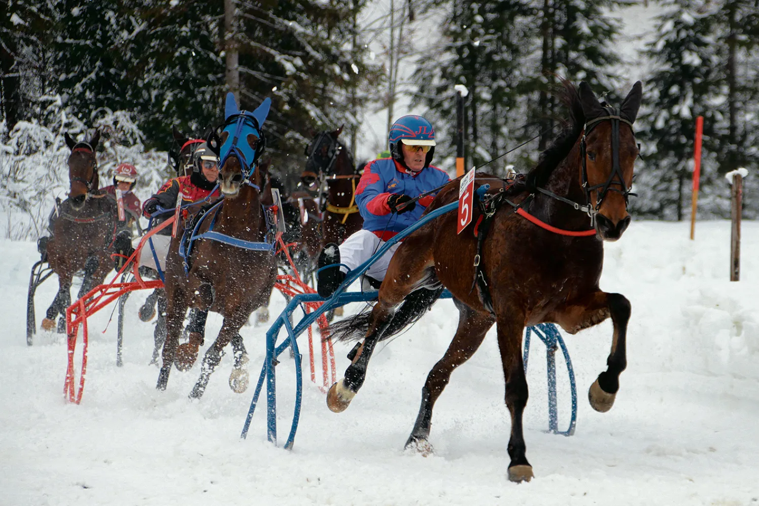 TraberimSchnee_50_2025_Traberfan