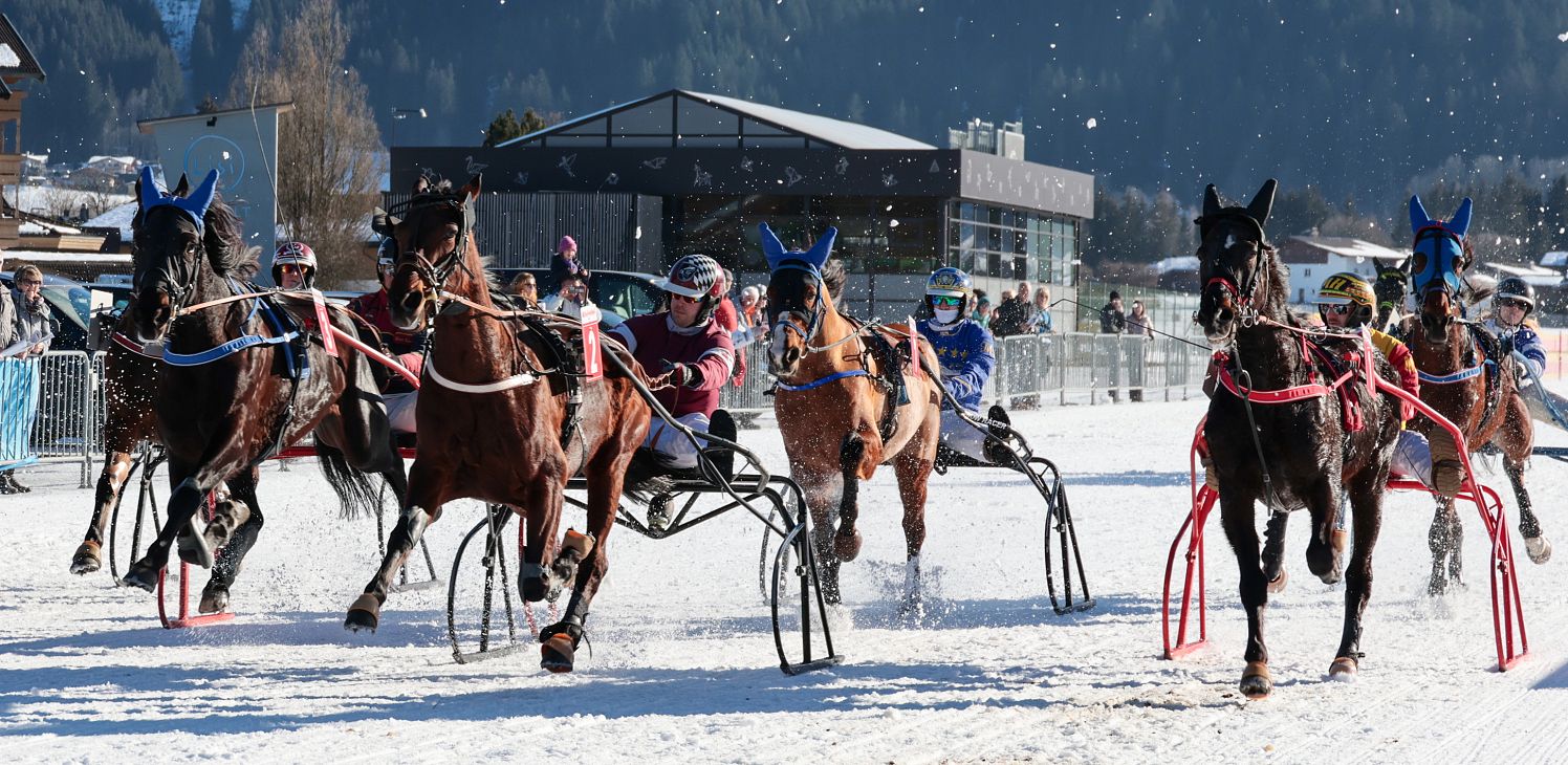 Traberstart_07_2025_Weiss.webp