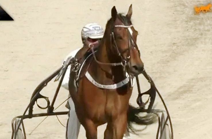 Trabrennen Rösslwirt