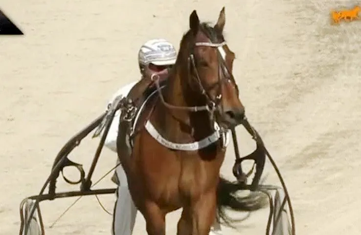 Trabrennen Rösslwirt