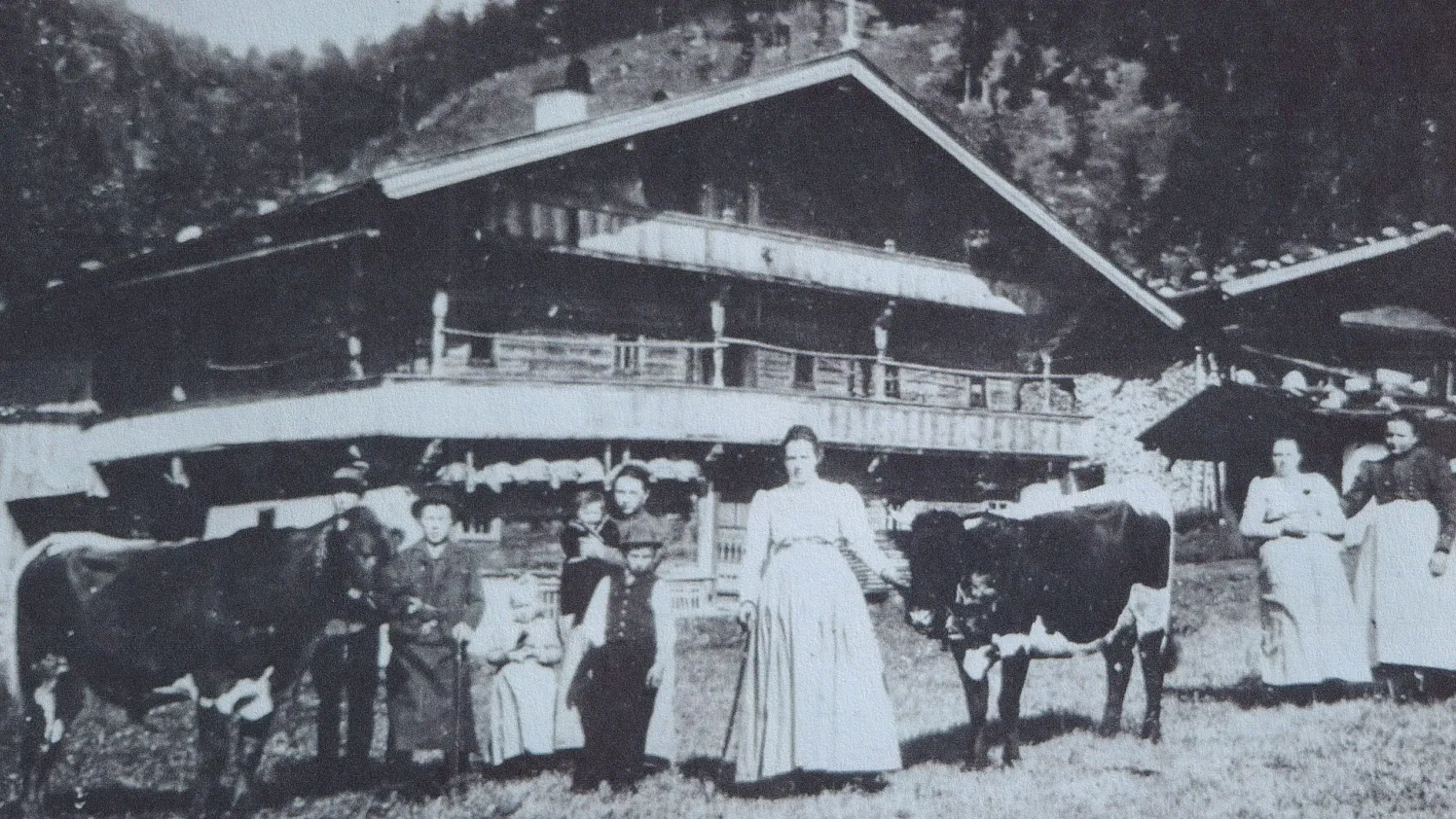 Vorderhacher im Kriegsjahr 1916