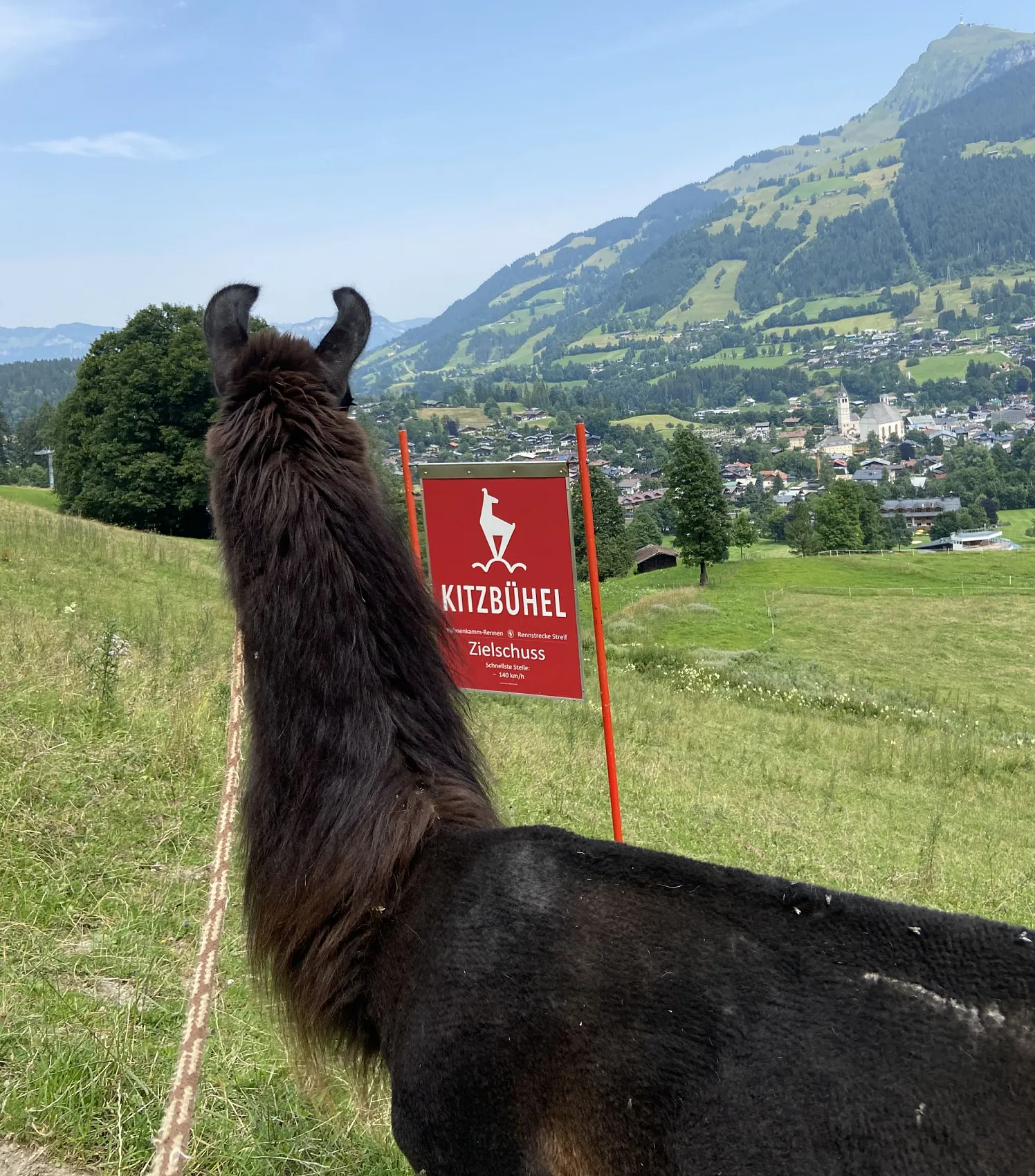 Wald am See erhält Bildungsaward