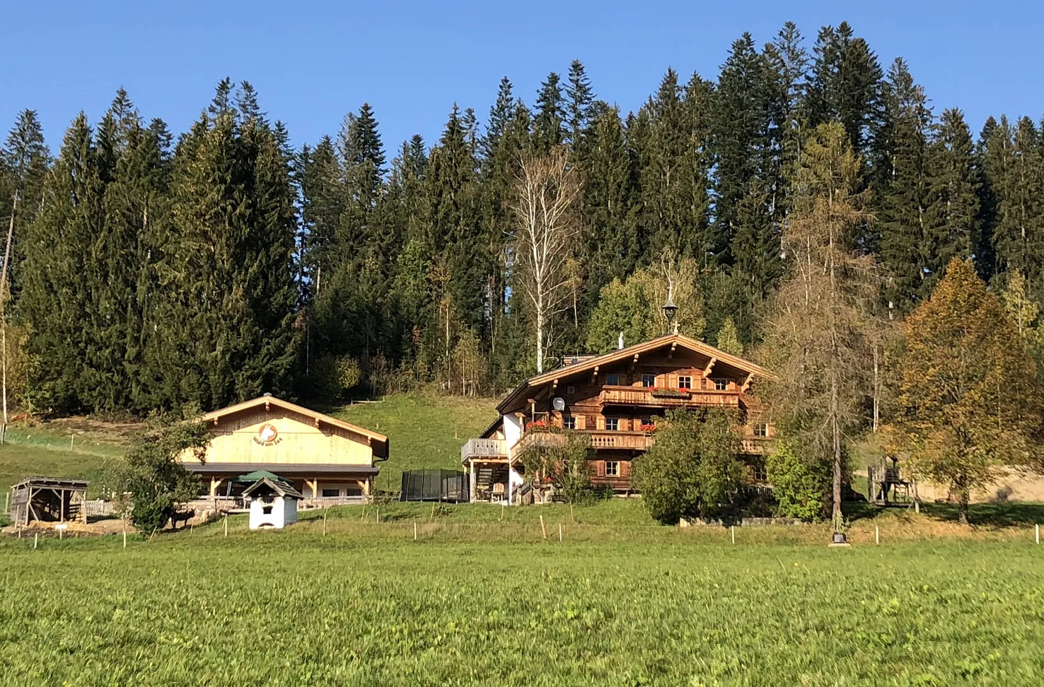 Wald am See erhält Bildungsaward