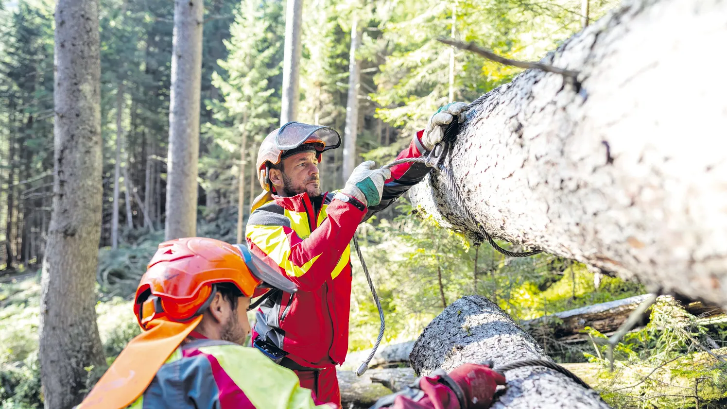 Wirtschaftsfaktor_Wald