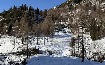 20260226-olex26-tupl-2