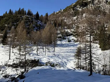Winterliche Berglandschaft mit schneebedecktem Hang, kahlen Bäumen und klarblauem Himmel. Die sanfte Steigung ist von Tannen und Felsen umgeben.