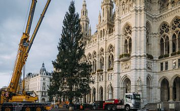 a-2025-10-28-wiener-christkindlmarkt-2025-baumaufstellung-stadt-wien-marketing-lisa-leutner-i7a5900-jpg-2